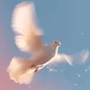 Dove