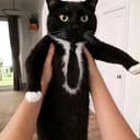 TUX