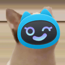 BOOPCAT