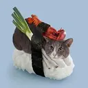 sushicat