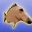Borzoi