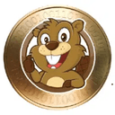 beaver