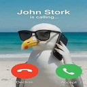 stork