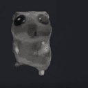 Hamster3