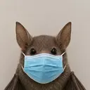 mask