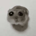 HAMMY