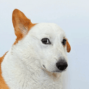 BeiBei