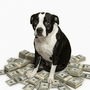 CASHDOG