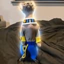 Beerus