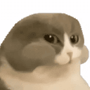 Numcat