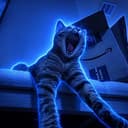 GODCAT