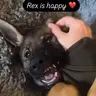 REX