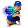 FOMOCAT