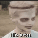 TURTLES