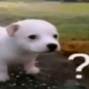 huh