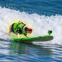 SURF