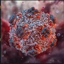 26Virus
