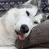 Nagi
