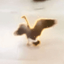 GOOSE