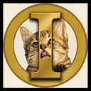 Irokoko