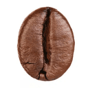 Bean