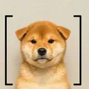 [dog]