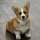WOOF