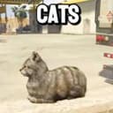 Gtav6cat