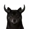 BLACKINU