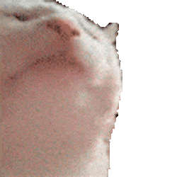 VCAT