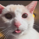blepcat