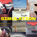 Simulation