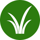 GRASS