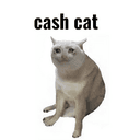 CASHCAT
