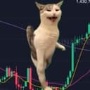DANCECAT
