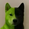 NVIDOG