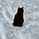 Jingles