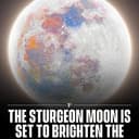 STURGEON