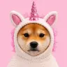 INU