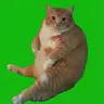 CHONK