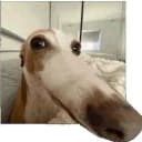 LONGDOG