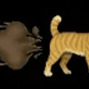 CATEFART