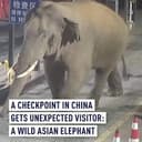 JUMBO