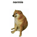 NormieDog