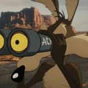 COYOTE