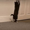WAVING