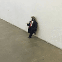 trumpeon