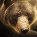 BALOO
