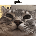 Guh