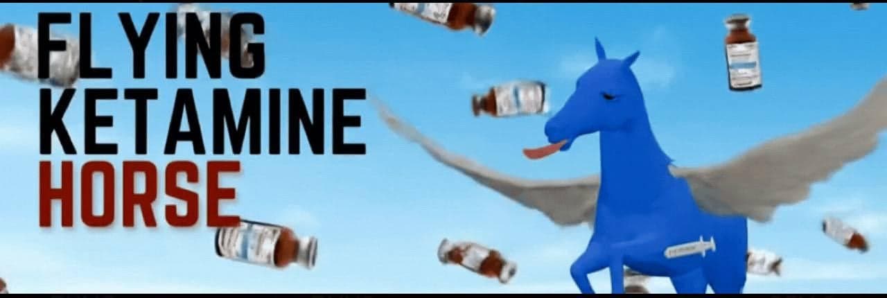 Flying Ketamine Horse Banner
